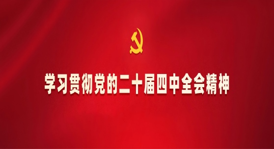 推进国家安全体系和能力现代化 建设更高水平平安中国（下）